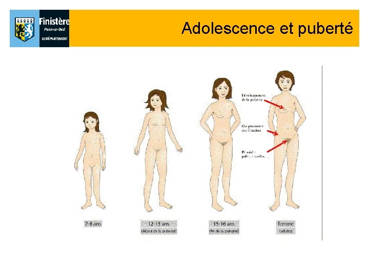 Adolescence et puberté Adolescence et puberté