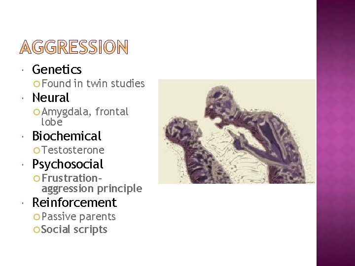 Social Psychology Attitude Conformity And Obedience Bell Ringer