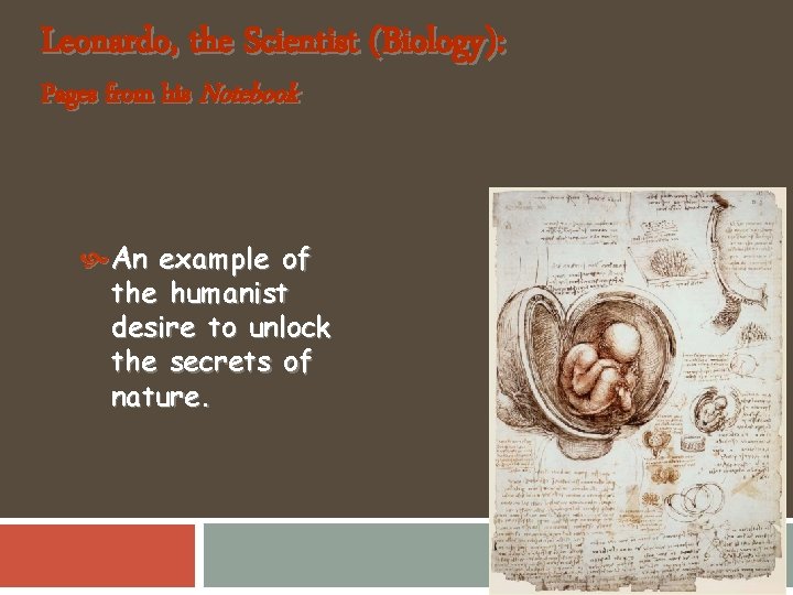 Leonardo, the Scientist (Biology): Pages from his Notebook An example of the humanist desire