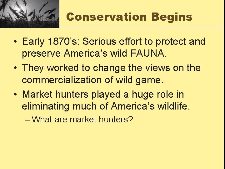 Conservation Begins • Early 1870’s: Serious effort to protect and preserve America’s wild FAUNA.