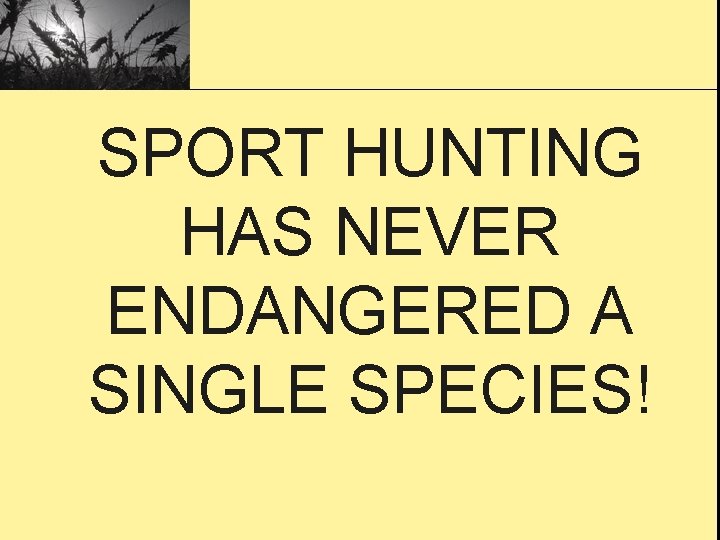 SPORT HUNTING HAS NEVER ENDANGERED A SINGLE SPECIES! 