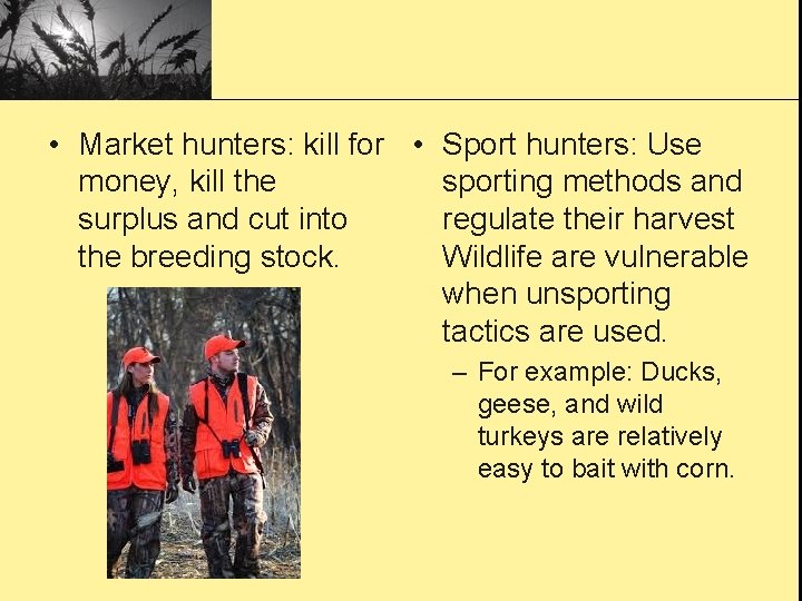  • Market hunters: kill for • Sport hunters: Use money, kill the sporting