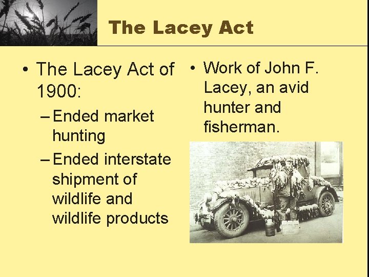 The Lacey Act • The Lacey Act of • Work of John F. Lacey,