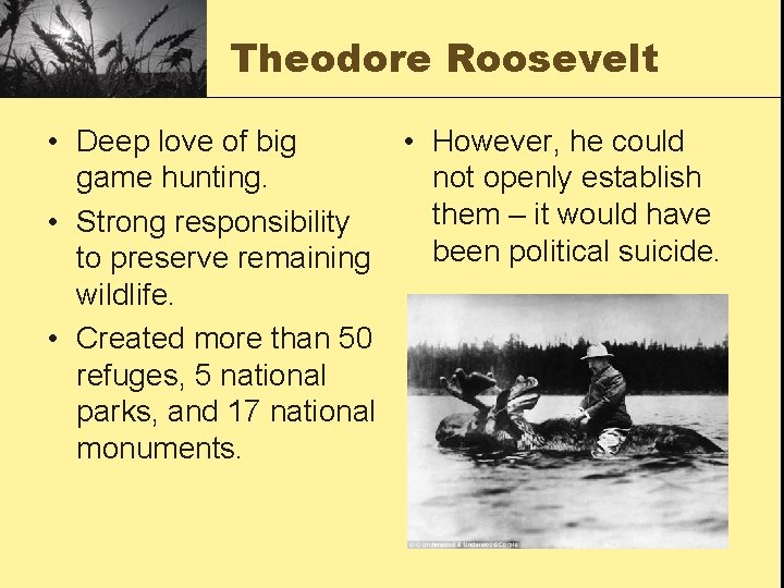 Theodore Roosevelt • Deep love of big • However, he could game hunting. not