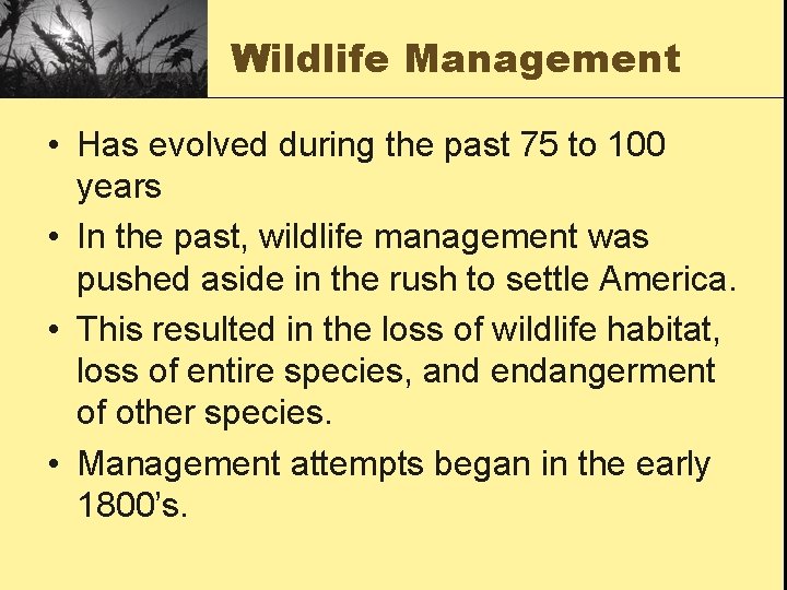 Wildlife Management • Has evolved during the past 75 to 100 years • In