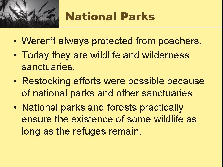 National Parks • Weren’t always protected from poachers. • Today they are wildlife and