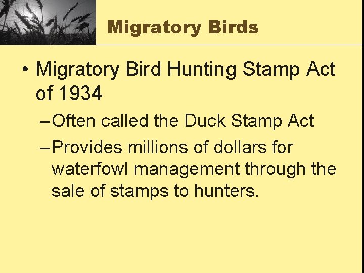 Migratory Birds • Migratory Bird Hunting Stamp Act of 1934 – Often called the