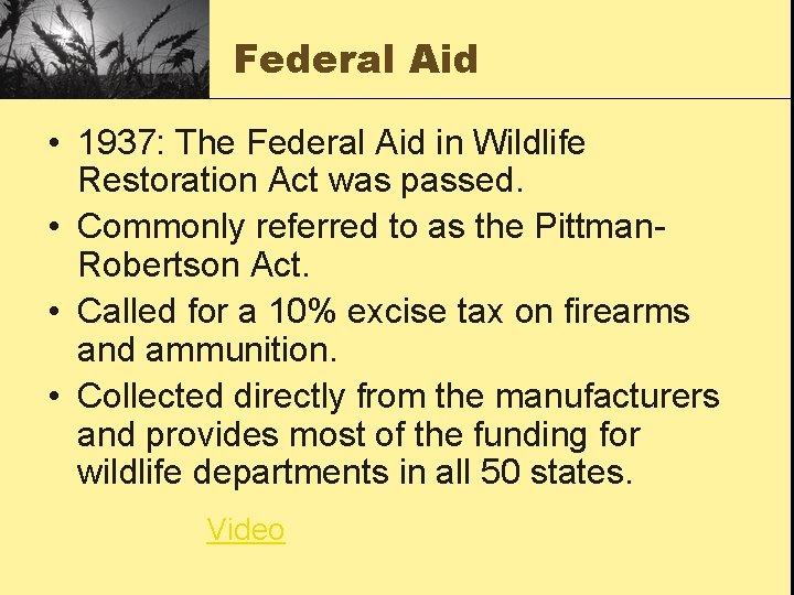 Federal Aid • 1937: The Federal Aid in Wildlife Restoration Act was passed. • Federal Aid • 1937: The Federal Aid in Wildlife Restoration Act was passed. •