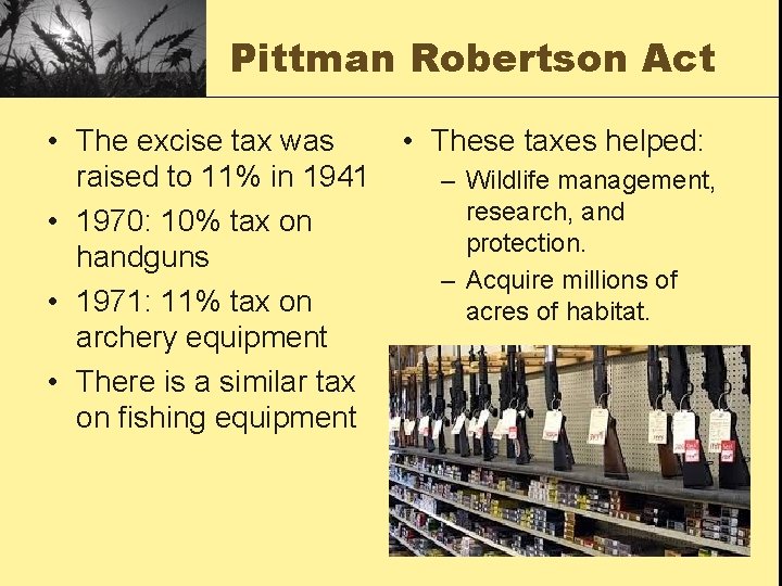 History of Wildlife Management in America Wildlife Management