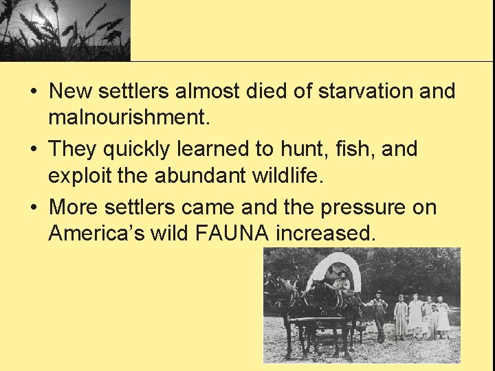  • New settlers almost died of starvation and malnourishment. • They quickly learned