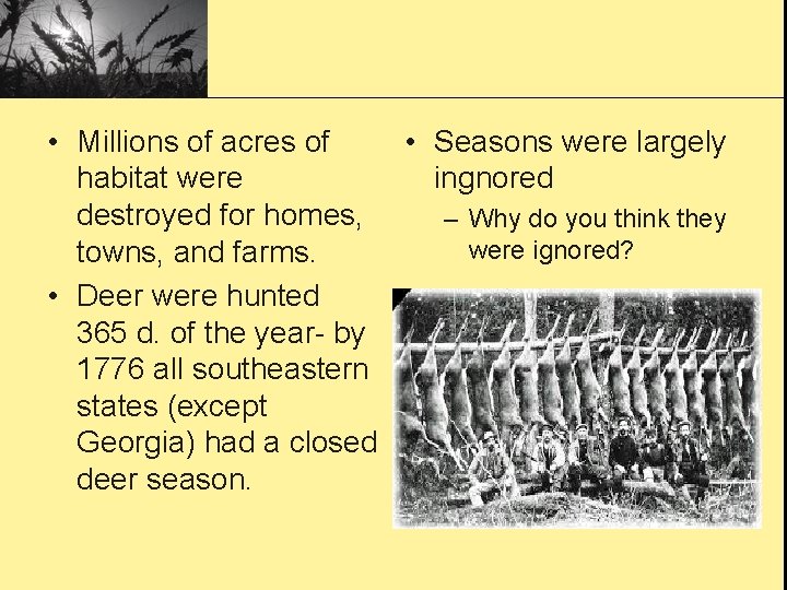  • Millions of acres of • Seasons were largely habitat were ingnored destroyed