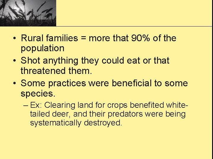  • Rural families = more that 90% of the population • Shot anything