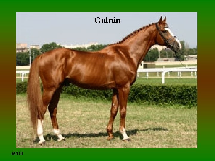 Gidrán 45/110 