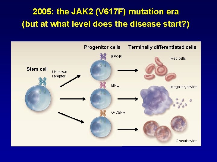 2005: the JAK 2 (V 617 F) mutation era (but at what level does