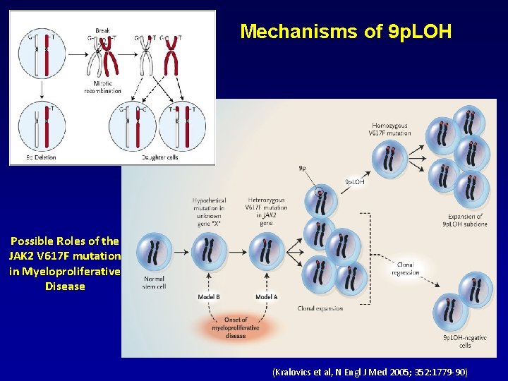 Mechanisms of 9 p. LOH Possible Roles of the JAK 2 V 617 F