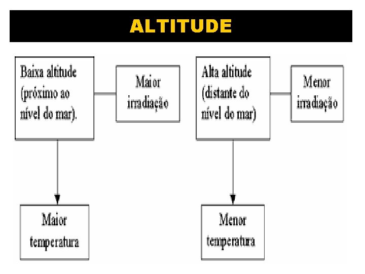 ALTITUDE ALTITUDE