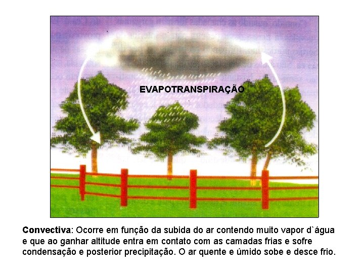 EVAPOTRANSPIRAÇÃO Convectiva: Ocorre em função da subida do ar contendo muito vapor d`água e EVAPOTRANSPIRAÇÃO Convectiva: Ocorre em função da subida do ar contendo muito vapor d`água e