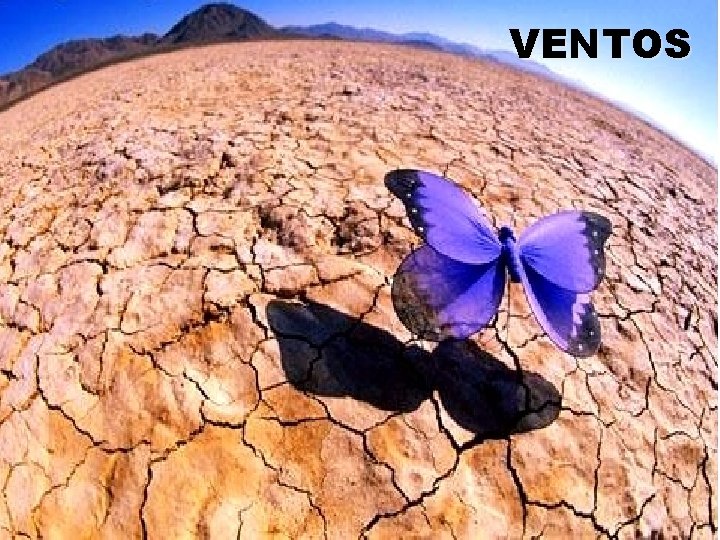VENTOS VENTOS