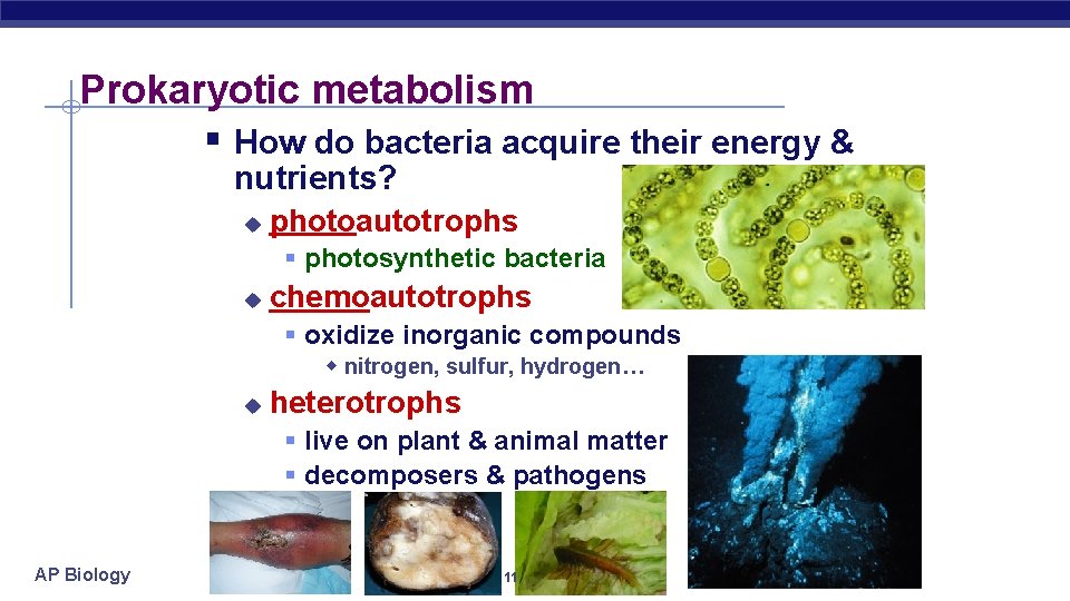 Prokaryotic metabolism § How do bacteria acquire their energy & nutrients? u photoautotrophs §