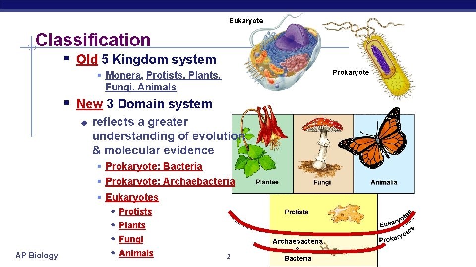 Eukaryote Classification § Old 5 Kingdom system Prokaryote § Monera, Protists, Plants, Fungi, Animals