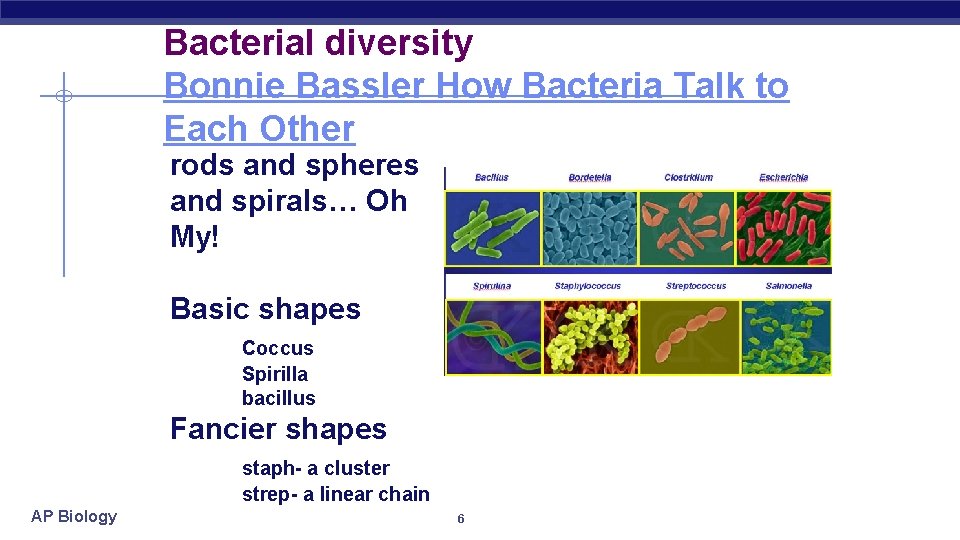 Bacterial diversity Bonnie Bassler How Bacteria Talk to Each Other rods and spheres and