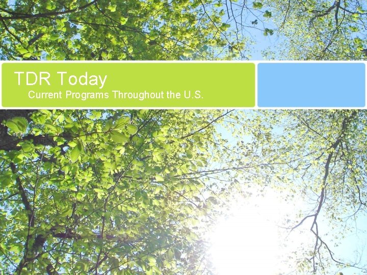 Program For Today TDR Today Current Programs Throughout the U S
