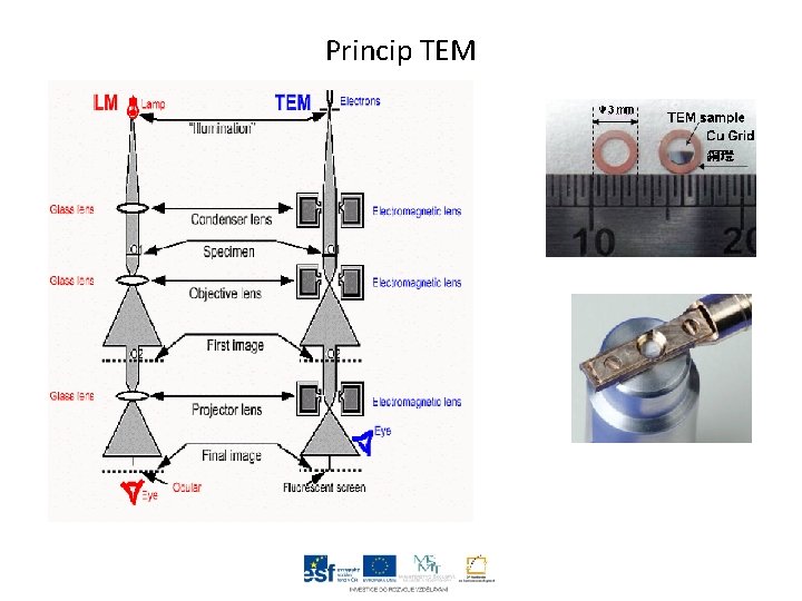 Princip TEM 