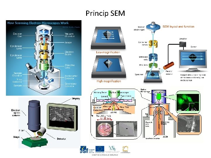 Princip SEM 
