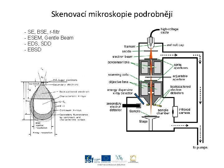 Skenovací mikroskopie podrobněji - SE, BSE, r-filtr - ESEM, Gentle Beam - EDS, SDD
