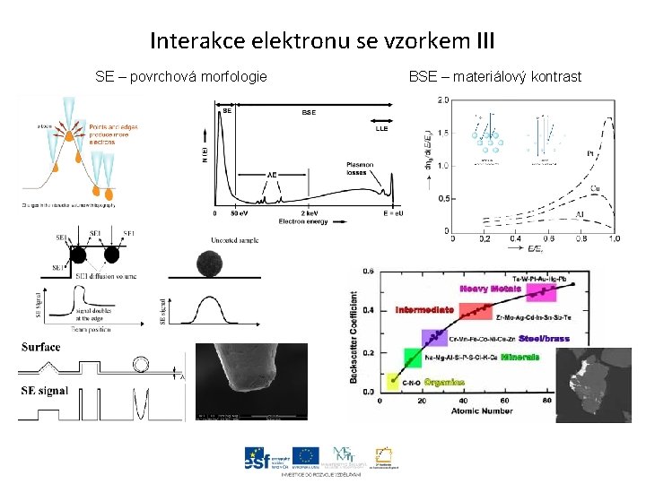 Interakce elektronu se vzorkem III SE – povrchová morfologie BSE – materiálový kontrast 