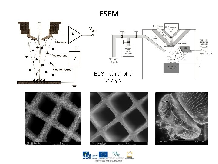ESEM EDS – téměř plná energie 