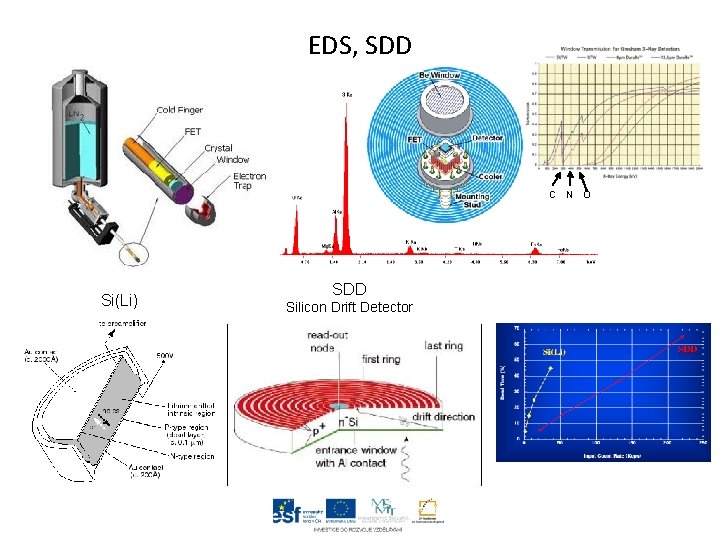 EDS, SDD C N O Si(Li) SDD Silicon Drift Detector 