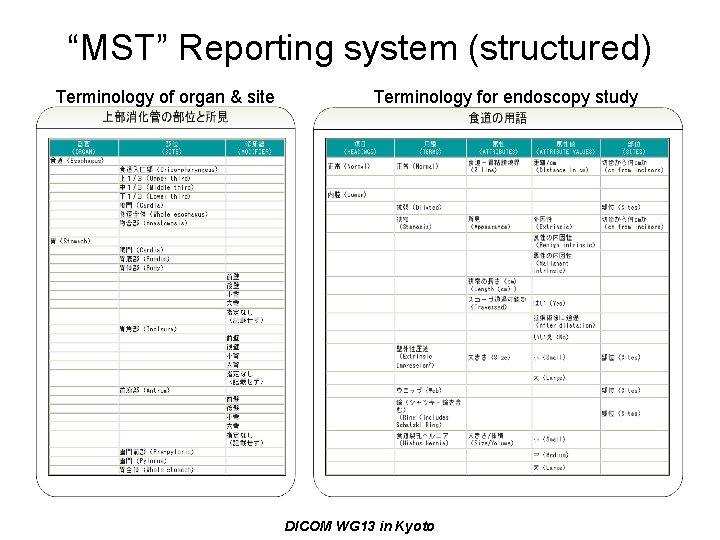 “MST” Reporting system (structured) Terminology of organ & site Terminology for endoscopy study DICOM