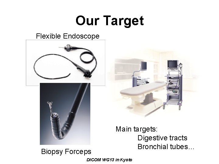 Our Target Flexible Endoscope Biopsy Forceps Main targets: Digestive tracts Bronchial tubes… DICOM WG