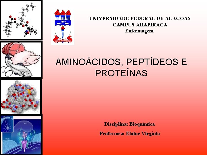 UNIVERSIDADE FEDERAL DE ALAGOAS CAMPUS ARAPIRACA Enfermagem AMINOÁCIDOS, PEPTÍDEOS E PROTEÍNAS Disciplina: Bioquímica Professora: UNIVERSIDADE FEDERAL DE ALAGOAS CAMPUS ARAPIRACA Enfermagem AMINOÁCIDOS, PEPTÍDEOS E PROTEÍNAS Disciplina: Bioquímica Professora: