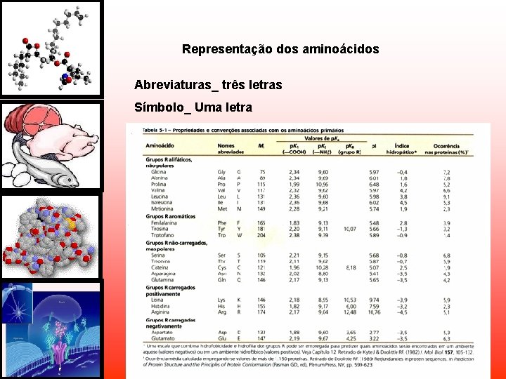 Representação dos aminoácidos Abreviaturas_ três letras Símbolo_ Uma letra Representação dos aminoácidos Abreviaturas_ três letras Símbolo_ Uma letra