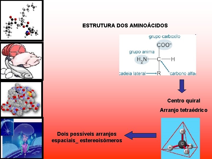 ESTRUTURA DOS AMINOÁCIDOS Centro quiral Arranjo tetraédrico Dois possíveis arranjos espaciais_ estereoisômeros ESTRUTURA DOS AMINOÁCIDOS Centro quiral Arranjo tetraédrico Dois possíveis arranjos espaciais_ estereoisômeros