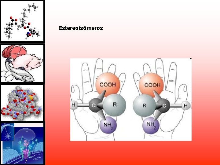 Estereoisômeros Estereoisômeros