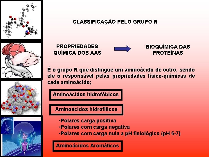 CLASSIFICAÇÃO PELO GRUPO R PROPRIEDADES QUÍMICA DOS AAS BIOQUÍMICA DAS PROTEÍNAS É o grupo CLASSIFICAÇÃO PELO GRUPO R PROPRIEDADES QUÍMICA DOS AAS BIOQUÍMICA DAS PROTEÍNAS É o grupo