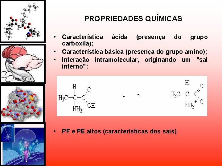 PROPRIEDADES QUÍMICAS • Característica ácida (presença do grupo carboxila); • Característica básica (presença do PROPRIEDADES QUÍMICAS • Característica ácida (presença do grupo carboxila); • Característica básica (presença do