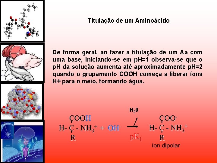 Titulação de um Aminoácido De forma geral, ao fazer a titulação de um Aa Titulação de um Aminoácido De forma geral, ao fazer a titulação de um Aa