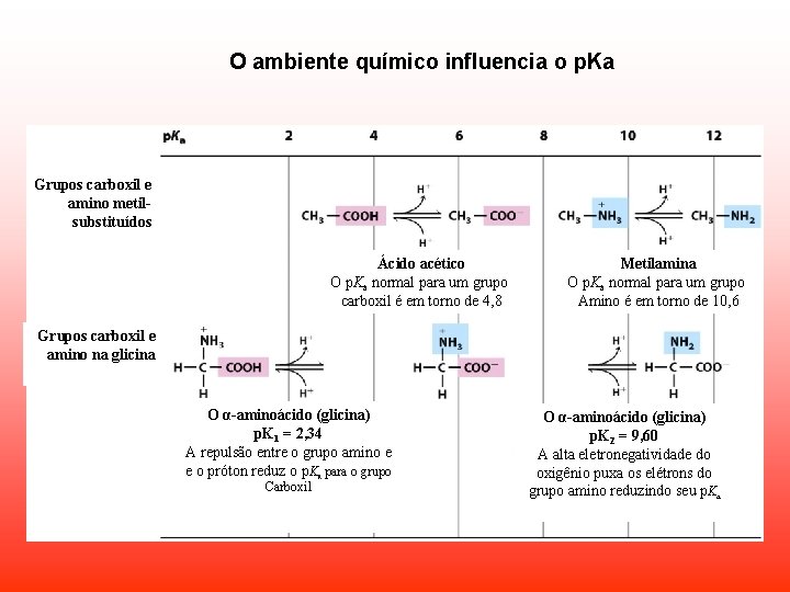 O ambiente químico influencia o p. Ka Grupos carboxil e amino metilsubstituídos Ácido acético O ambiente químico influencia o p. Ka Grupos carboxil e amino metilsubstituídos Ácido acético