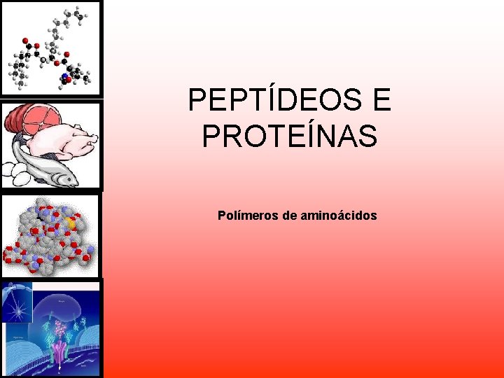 PEPTÍDEOS E PROTEÍNAS Polímeros de aminoácidos PEPTÍDEOS E PROTEÍNAS Polímeros de aminoácidos