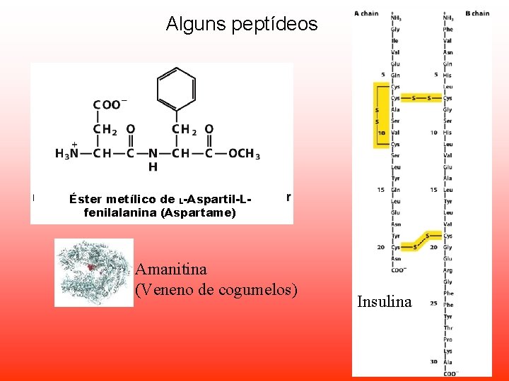Alguns peptídeos Éster metílico de L-Aspartil-Lfenilalanina (Aspartame) Amanitina (Veneno de cogumelos) Insulina Alguns peptídeos Éster metílico de L-Aspartil-Lfenilalanina (Aspartame) Amanitina (Veneno de cogumelos) Insulina