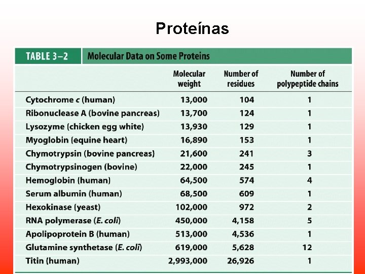 Proteínas Proteínas