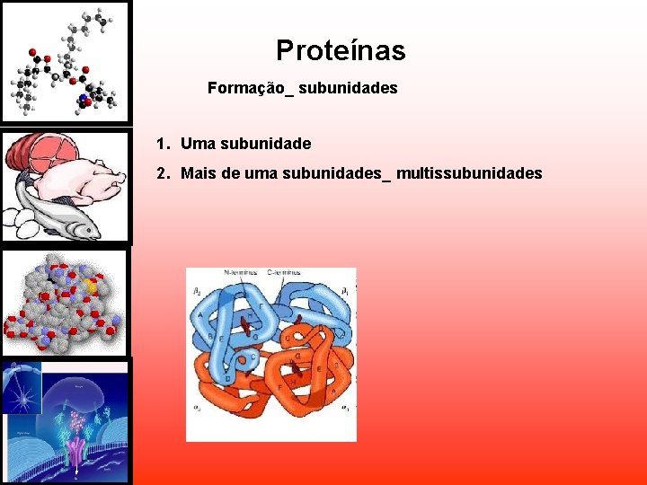 Proteínas Formação_ subunidades 1. Uma subunidade 2. Mais de uma subunidades_ multissubunidades Proteínas Formação_ subunidades 1. Uma subunidade 2. Mais de uma subunidades_ multissubunidades