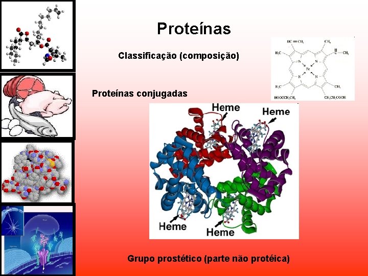 Proteínas Classificação (composição) Proteínas conjugadas Grupo prostético (parte não protéica) Proteínas Classificação (composição) Proteínas conjugadas Grupo prostético (parte não protéica)
