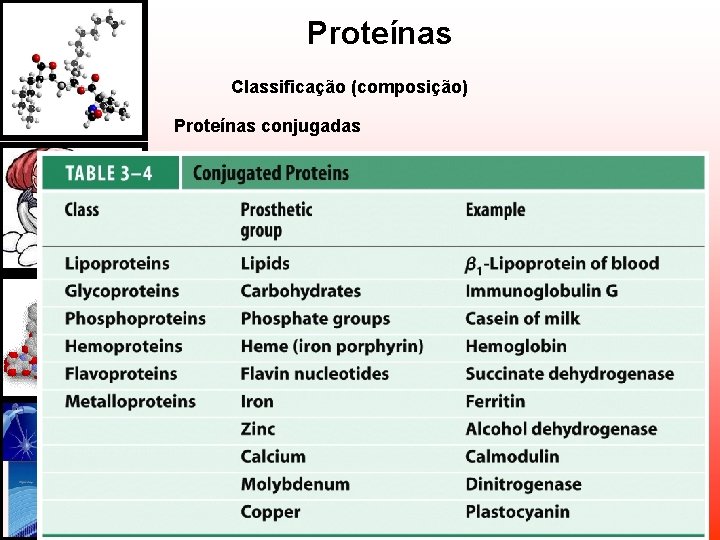 Proteínas Classificação (composição) Proteínas conjugadas Proteínas Classificação (composição) Proteínas conjugadas
