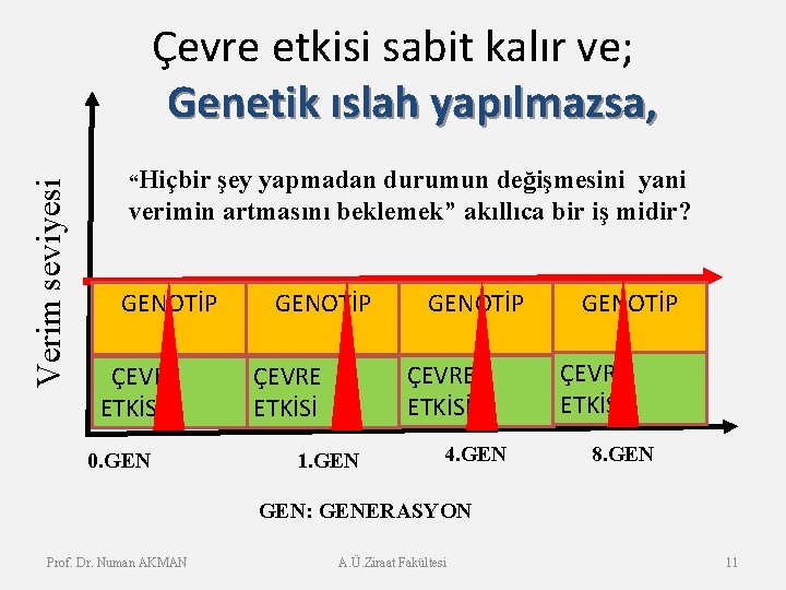 Verim seviyesi Çevre etkisi sabit kalır ve; Genetik ıslah yapılmazsa, “Hiçbir şey yapmadan durumun