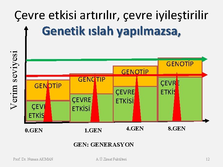 Verim seviyesi Çevre etkisi artırılır, çevre iyileştirilir Genetik ıslah yapılmazsa, GENOTİP ÇEVRE ETKİSİ 0.